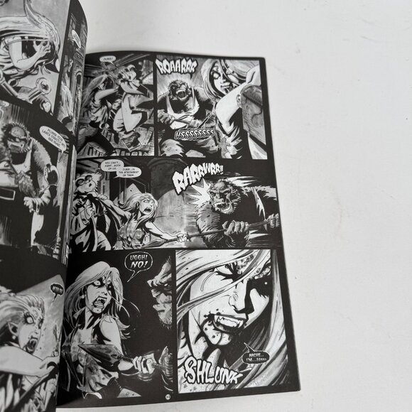 The Black Forest 2 Castle of Shadows Graphic Novel 2005 Trade Paperback - Picture 6 of 7